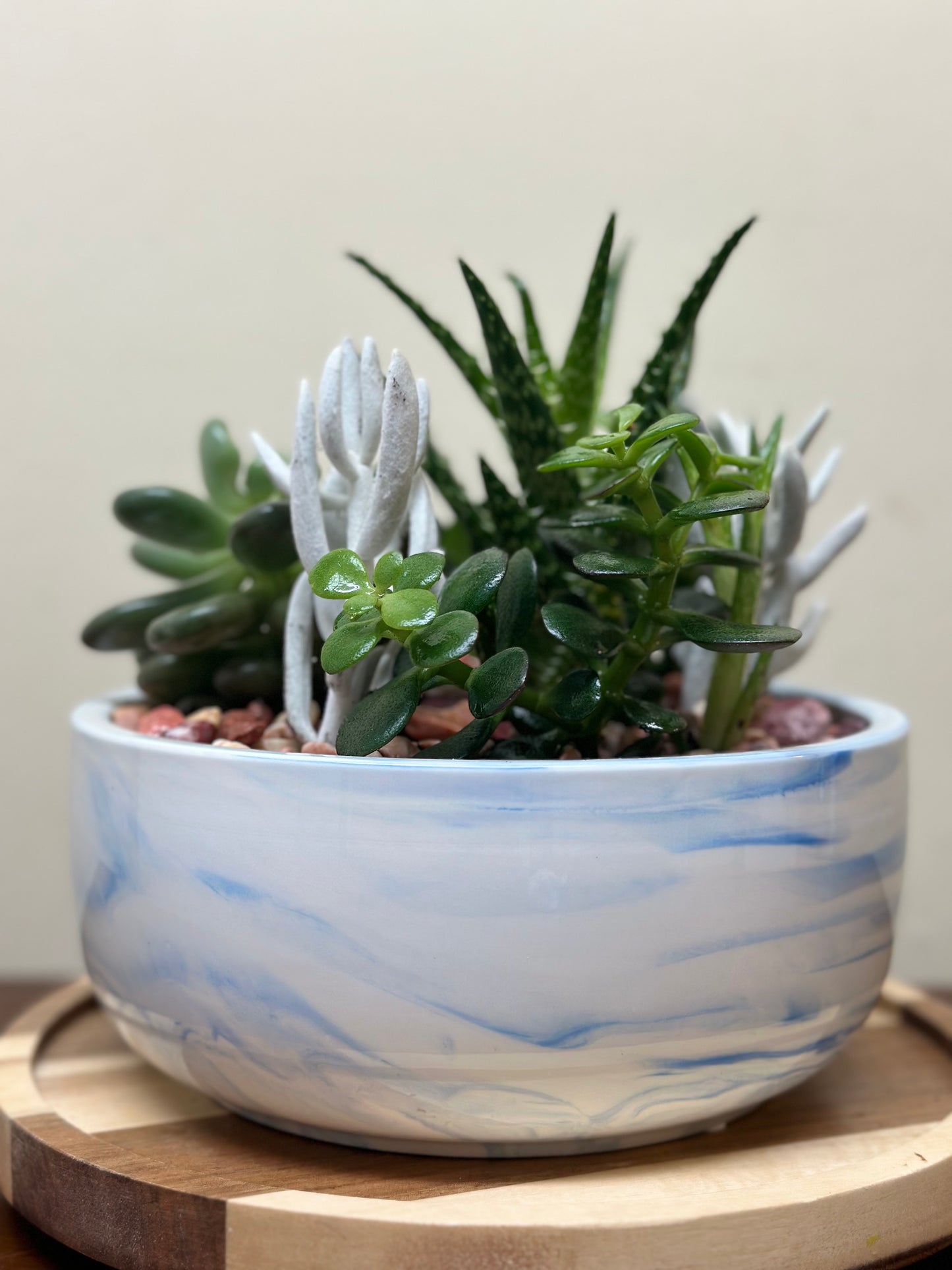 Succulent Planters