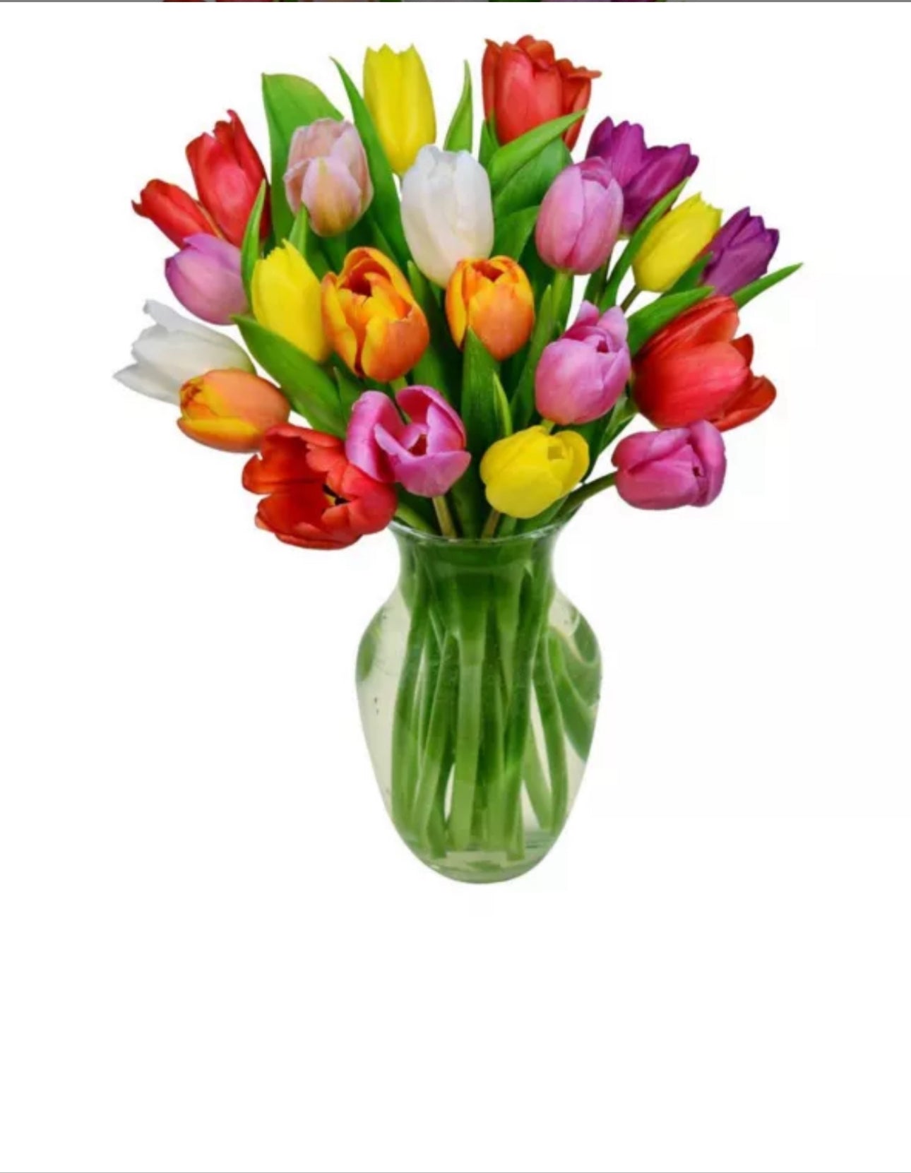Assorted Tulips in Vase